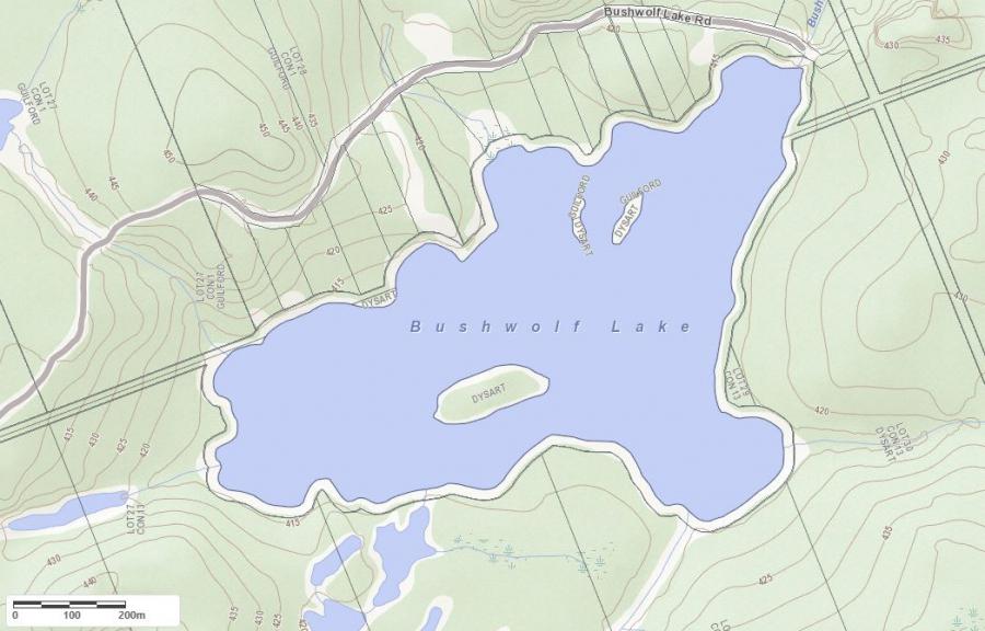 Topographical Map of Bushwolf Lake in Municipality of Dysart et al and the District of Haliburton